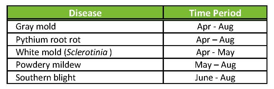 Timeline of common and important diseases occurring on cucumber crops in high tunnel production.