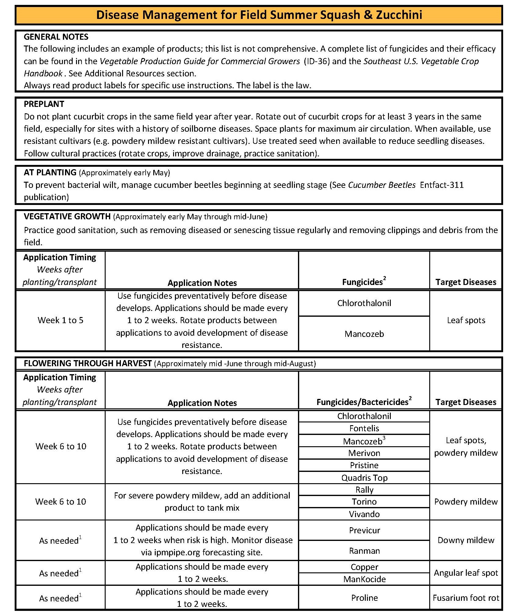 Disease Management for Field Summer Squash & Zucchini