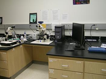 Research lab