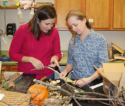 Two people working in diagnostic lab