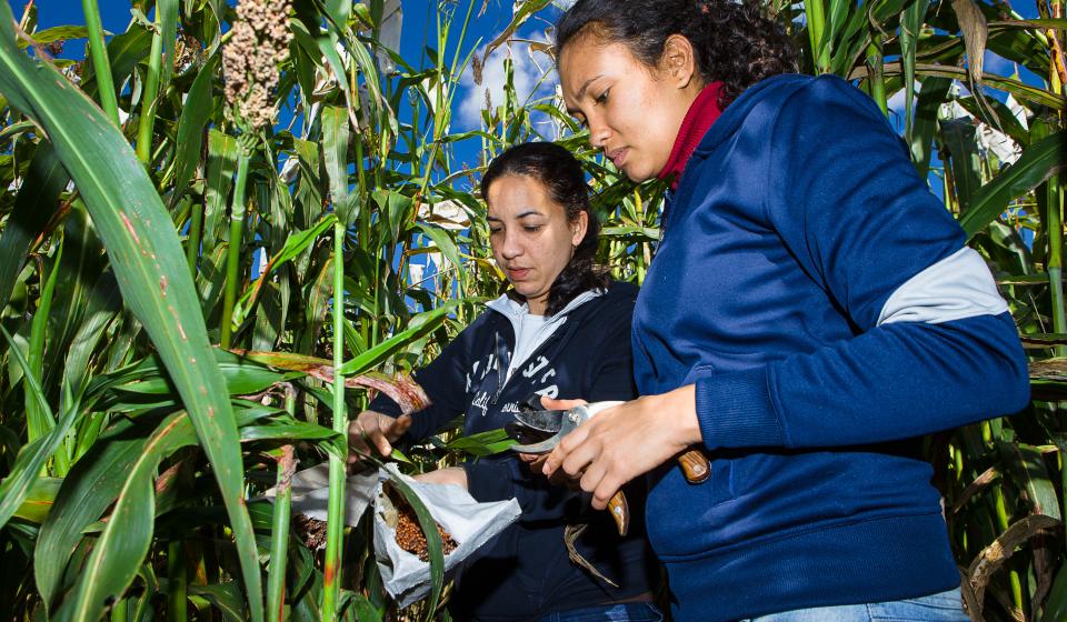 Graduate students conducting field research