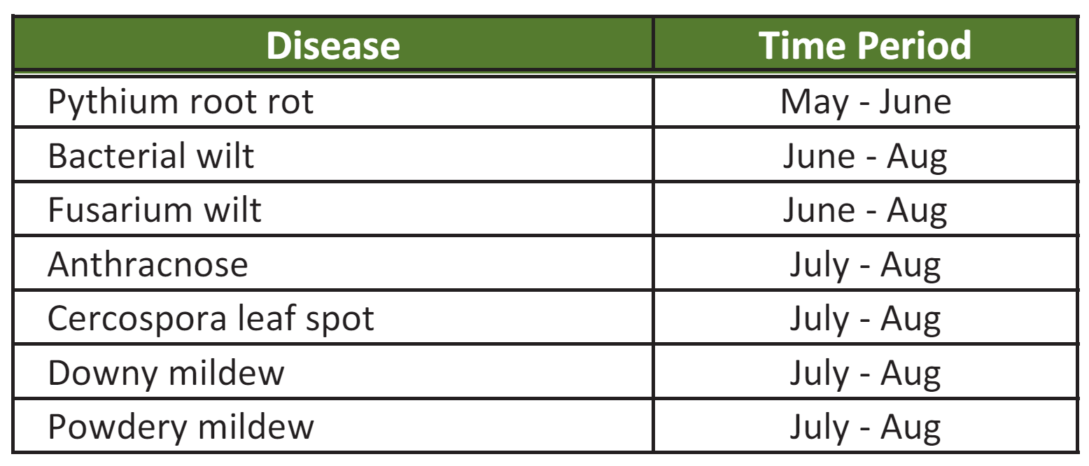 Table 1. Timeline of common and important diseases occurring on fieldgrown cucumber crops.